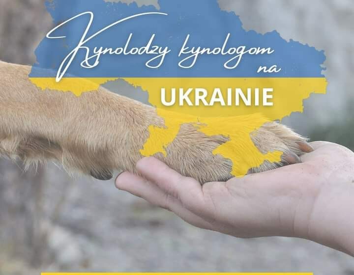  Hodowcy psów rasowych pomagają Ukrainie. Chcesz dołączyć?