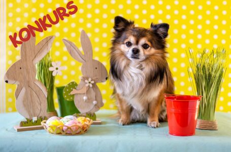 Wielkanocny konkurs Canis e Catus dla właścicieli psów rasowych!
