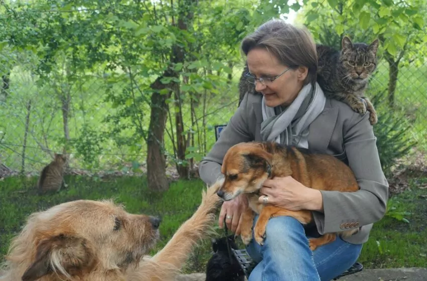  Cała prawda o udawanej walce z bezdomnością zwierząt, złotym interesie i o schroniskach-mordowniach! Szczery wywiad z Beatą Krupianik