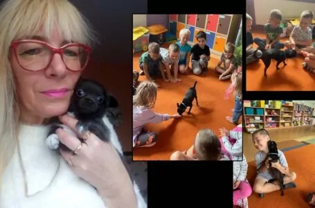 Chihuahua – dworskie psy azteckich władców [NASZ WYWIAD]