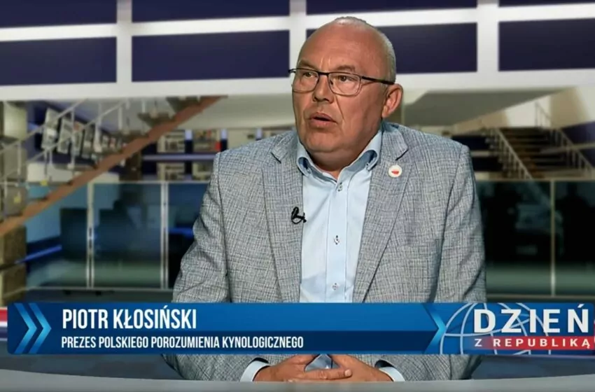  Kłosiński: porzucenie zwierzęcia jest przestępstwem